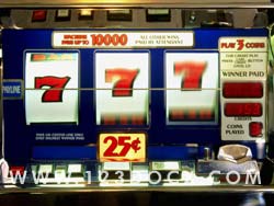 Gambling Slot Machines Photo Image