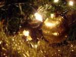 Christmas Tree Decoration 2 photo image
Click this thumbnail to view a larger detail of the photo, 
and access price and purchase options