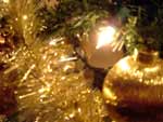Christmas Tree Decorations photo image
Click this thumbnail to view a larger detail of the photo, 
and access price and purchase options