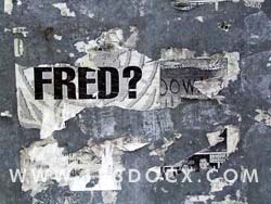 Grafitti Detail Freds Place?  Photo Image