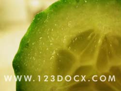 Cucumber Detail Photo Image