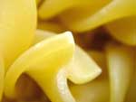 Pasta Detail  photo image
Click this thumbnail to view a larger detail of the photo, 
and access price and purchase options