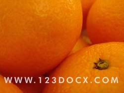 Oranges Photo Image