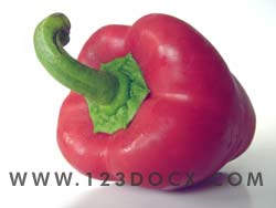 Red Pepper Photo Image