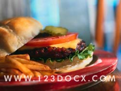 Hamburger Junk Food Photo Image