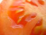 Tomato Slice photo image
Click this thumbnail to view a larger detail of the photo, 
and access price and purchase options