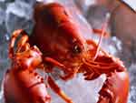 Lobster photo image
Click this thumbnail to view a larger detail of the photo, 
and access price and purchase options