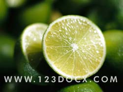 Fruit Lime Photo Image