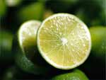 Fruit Lime photo image
Click this thumbnail to view a larger detail of the photo, 
and access price and purchase options