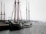 Anchored Sail Boats photo image
Click this thumbnail to view a larger detail of the photo, 
and access price and purchase options