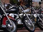 Harley Davidson Bikes photo image
Click this thumbnail to view a larger detail of the photo, 
and access price and purchase options