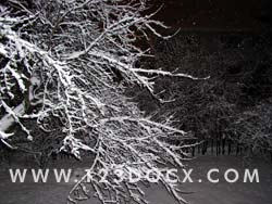 Night Winter Wilderness Photo Image