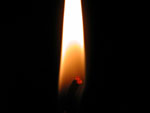 Candle Flame photo image
Click this thumbnail to view a larger detail of the photo, 
and access price and purchase options