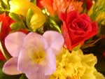 Flowers Bouquet photo image
Click this thumbnail to view a larger detail of the photo, 
and access price and purchase options
