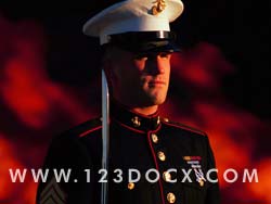Marine On Parade Photo Image