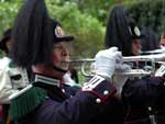 Bugler photo image
Click this thumbnail to view a larger detail of the photo, 
and access price and purchase options