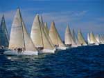 Regatta Yacht Race photo image
Click this thumbnail to view a larger detail of the photo, 
and access price and purchase options