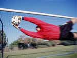 Soccer Goal keeper photo image
Click this thumbnail to view a larger detail of the photo, 
and access price and purchase options