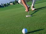 Golf Putt photo image
Click this thumbnail to view a larger detail of the photo, 
and access price and purchase options