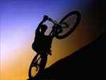 Moutain Biker photo image
Click this thumbnail to view a larger detail of the photo, 
and access price and purchase options