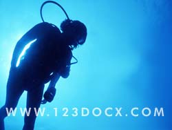 Scuba Diving Photo Image