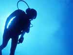 Scuba Diving photo image
Click this thumbnail to view a larger detail of the photo, 
and access price and purchase options