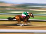Horse Race photo image
Click this thumbnail to view a larger detail of the photo, 
and access price and purchase options