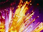 Fiber Optics photo image
Click this thumbnail to view a larger detail of the photo, 
and access price and purchase options