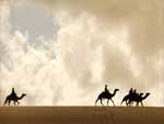 Camel Caravan photo image
Click this thumbnail to view a larger detail of the photo, 
and access price and purchase options