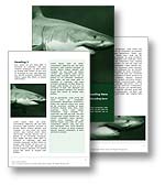 The shark word template in green shows a great white shark closing in on its prey. The great white sharks jaws are open and its teeth ready to attack its prey. The shark word template is ideal for any sharks, money sharks, money lending, loans, debt report, predator document, or shark publication.

Click the Shark word template thumbnail for color, pricing, and purchase options