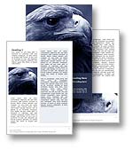 The falcon word template in blue shows the close up of a falcon bird of prey. The falcon word template like the kestrel bird of prey, the eagle, and the hawk, is ideal for any Peregrine Falcon, Gyrfalcon, Lanner Falcon, Merlin, protected species report, falconry word document, or falcon publication. 

Click the Falcon word template thumbnail for color, pricing, and purchase options