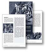 The Tiger Microsoft Word template in blue shows a Royal Bengal Tiger, the second largest of the tiger species after the much feared Siberian Tiger. Found predominantly in India, Nepal and Bangladesh, the Tiger Word template is ideal Word template design for any endangered species newsletter, wildlife protection brochure, WWF review, predator journal, jungle paper, tiger report, big game document or wildcat publication.

Click the Tiger word template thumbnail for color, pricing, and purchase options