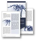 The Spider Word Template in blue shows a Tarantula spider. The Spider Microsoft Word Template is the perfect document template design for any exotic pets report, venomous predator review, Arachnophobia brochure, web indexing document, web spider paper, world wide web invitation, web crawler newsletter, SEO or spider publication.

Click the Spider word template thumbnail for color, pricing, and purchase options