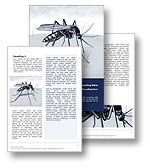 The Malaria Word template in blue shows a mosquito infecting a human. The mosquito spreads the infectious disease caused by a eukaryotic protist of Plasmodium. The Malaria Word template is the perfect Microsoft Word document for any mosquito, symptoms malaria, malaria tablets, malaria treatment, infectious disease, la malaria report, malaria disease document, or Malaria publication.

Click the Malaria word template thumbnail for color, pricing, and purchase options